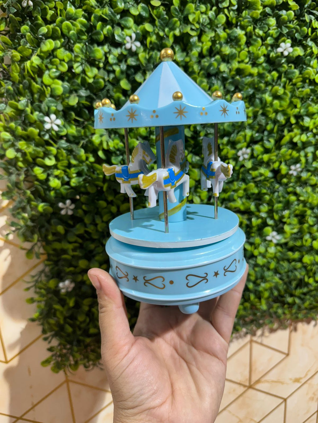 Carousel Toy with Music