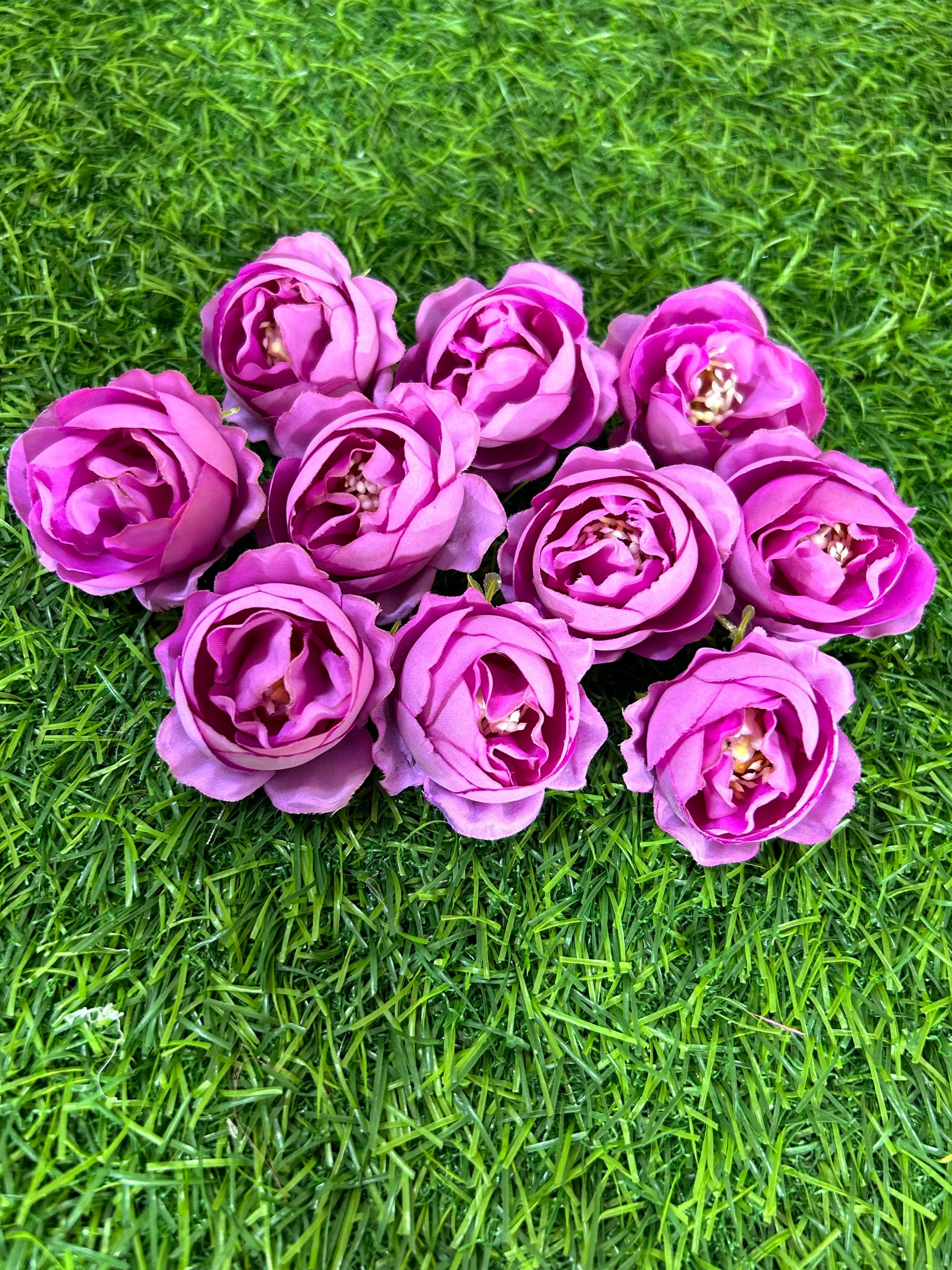 Peony Flowers