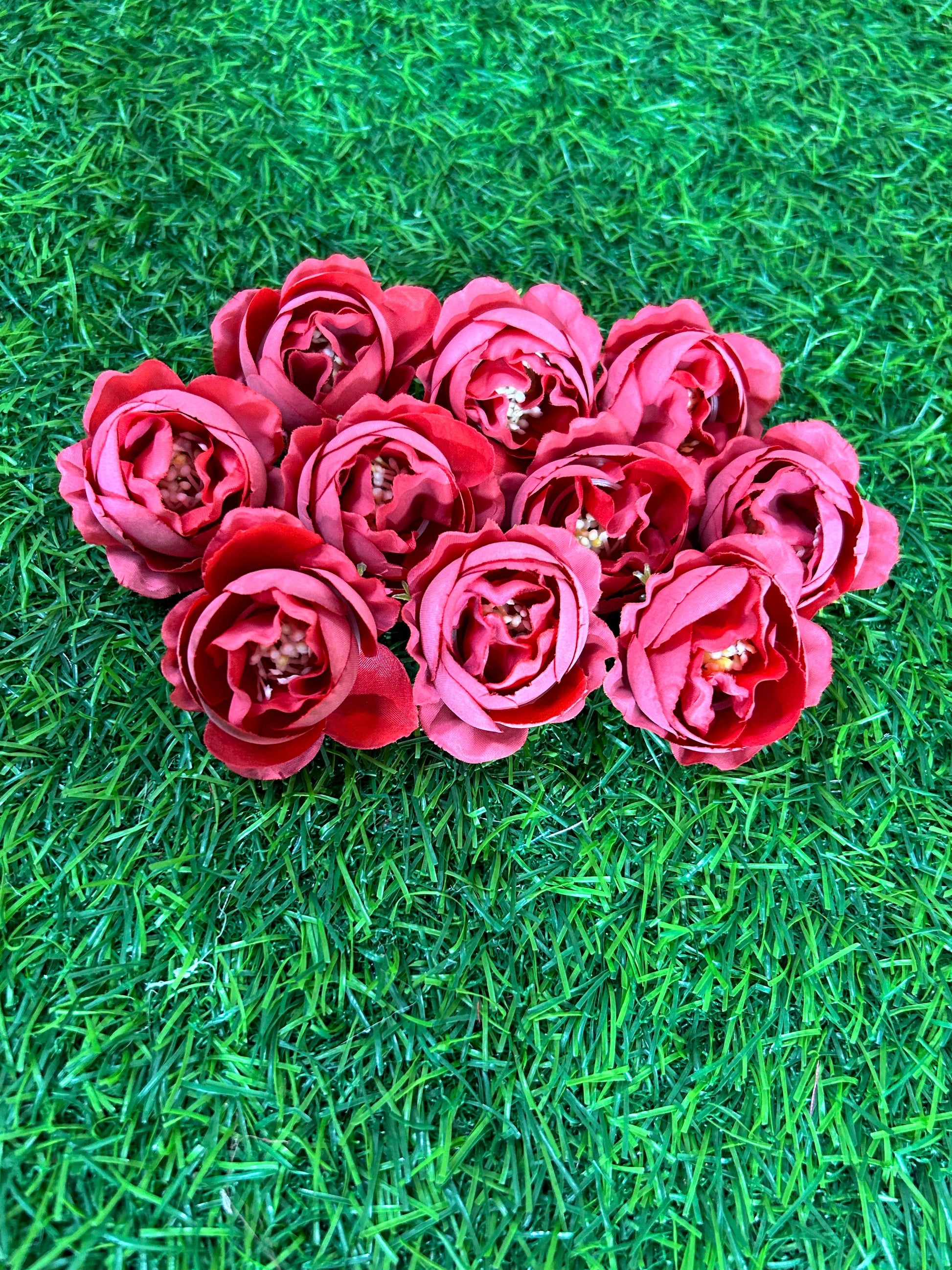 Peony Flowers