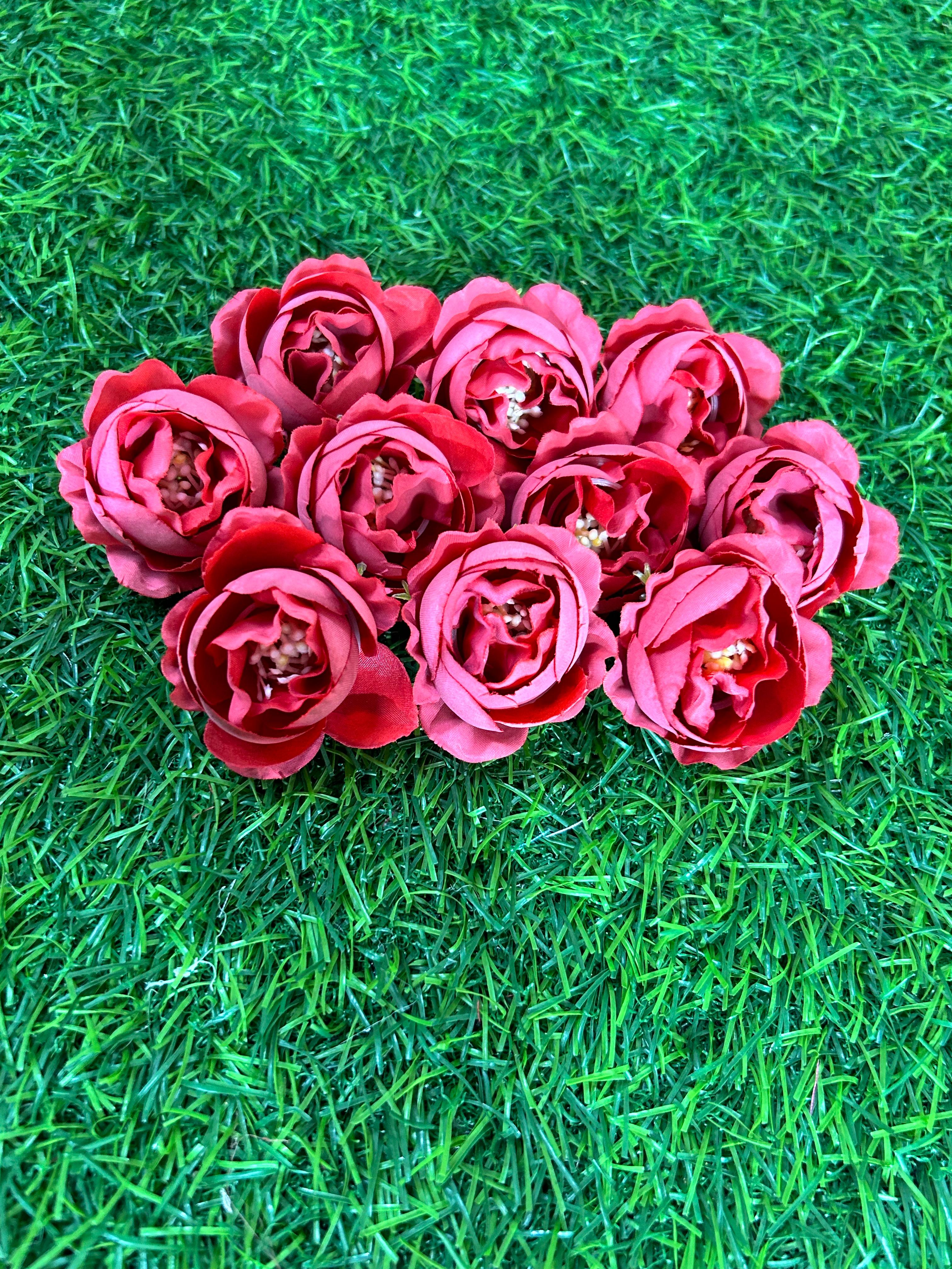 Peony Flowers