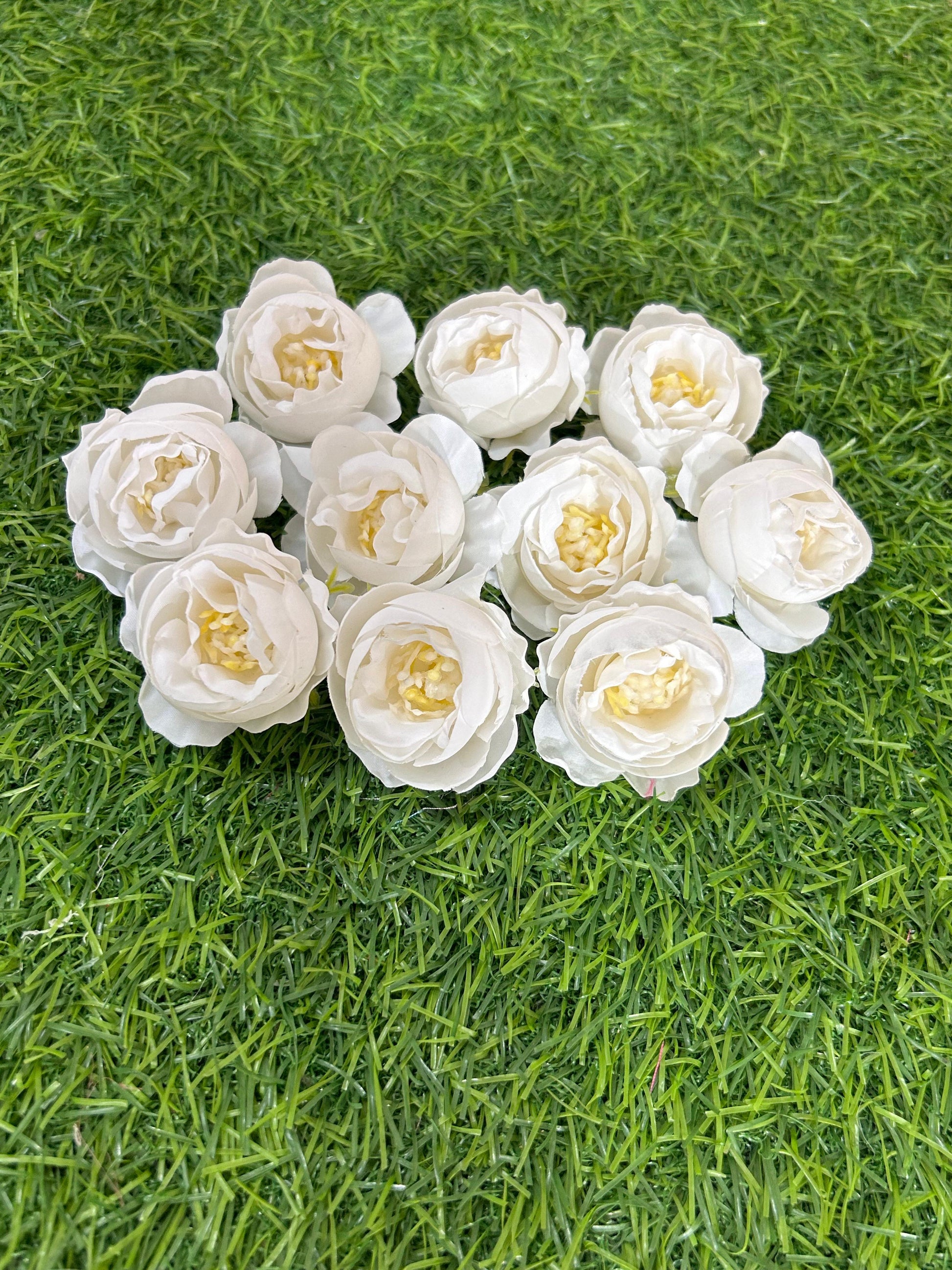 Peony Flowers