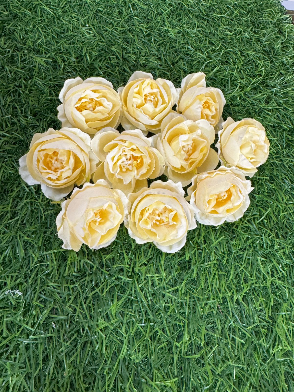 Peony Flowers