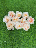 Peony Flowers