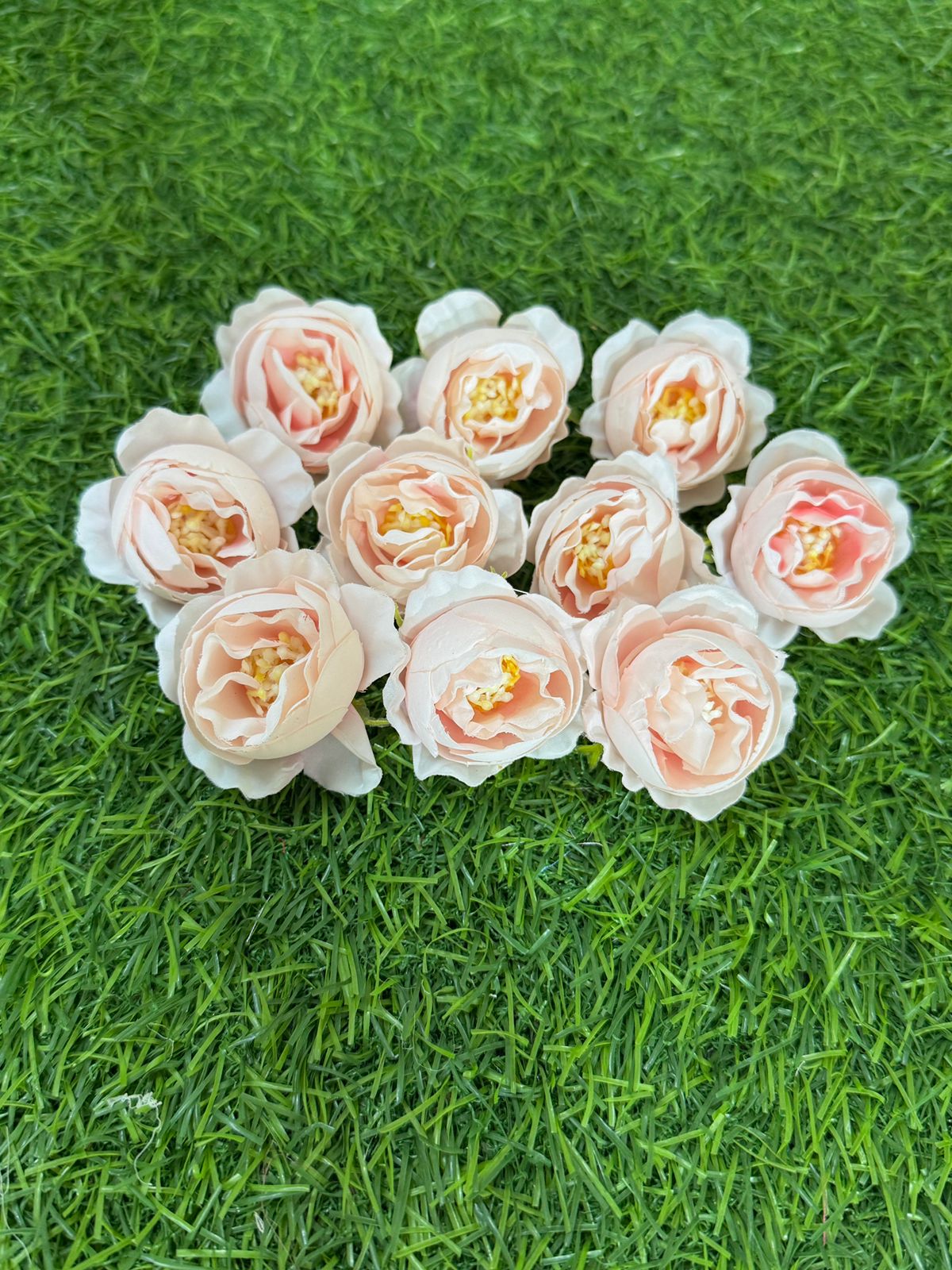 Peony Flowers