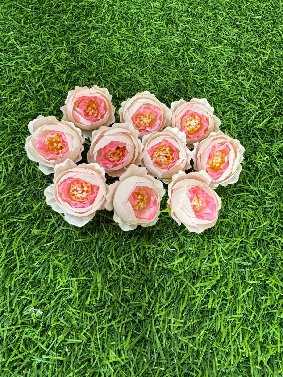 Peony Flowers