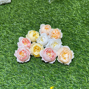 Peony Flower (mix colours)