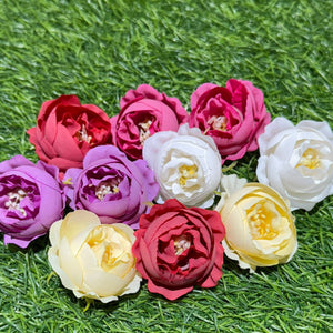 Peony Flower (mix colours)