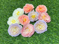 New Flower (Mix Colours)