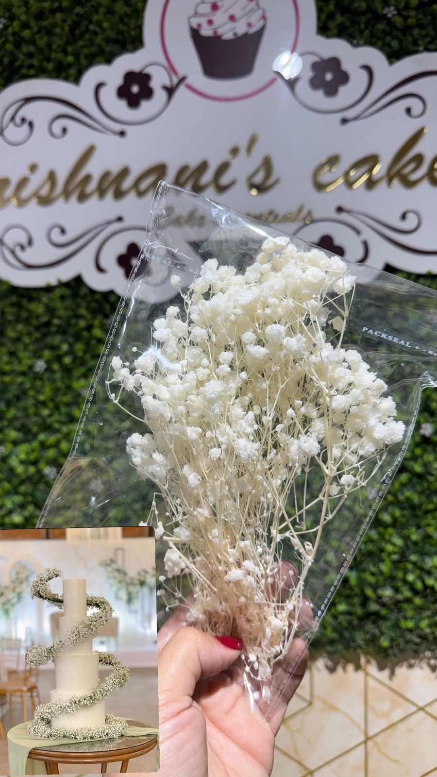 Baby Breath
