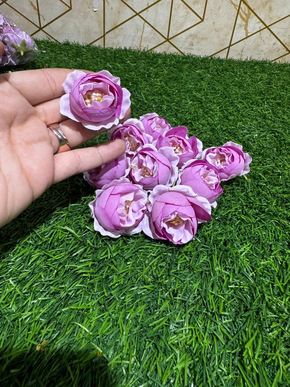 Peony Flowers