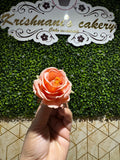 English Roses