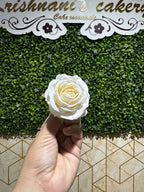 English Roses